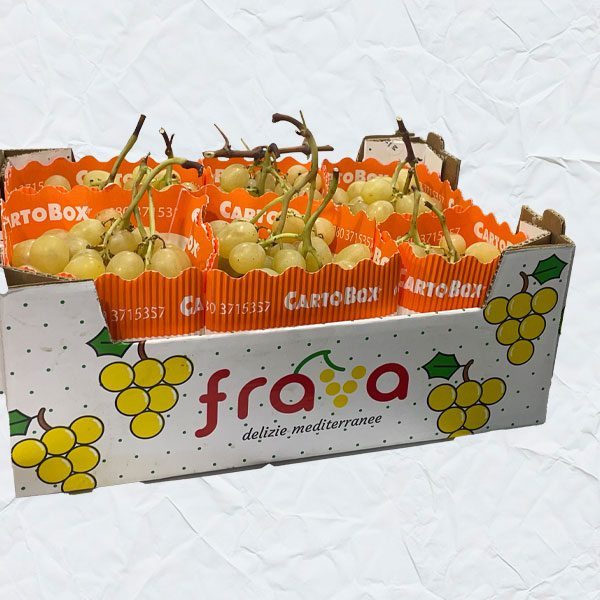 Separatore Uva Cannettè in cartone ecologico